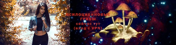 стафф Навашино