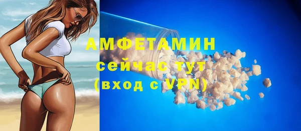 ПСИЛОЦИБИНОВЫЕ ГРИБЫ Богданович