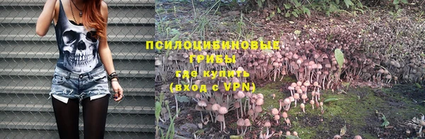 стафф Навашино