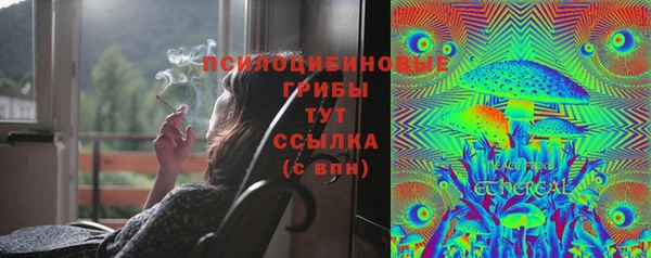 стафф Навашино